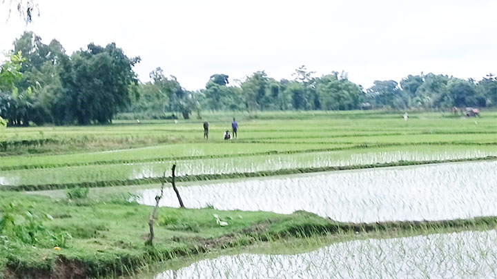 সীমান্তে বিজিবির বাধায় পিছু হটল বিএসএফ