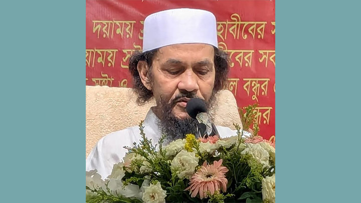 পতাকায় কলেমা লেখা নিয়ে মিছিল কলেমার শিক্ষা নয়, এটা কলেমাকে অপমান করা  -আল্লামা ইমাম হায়াত
